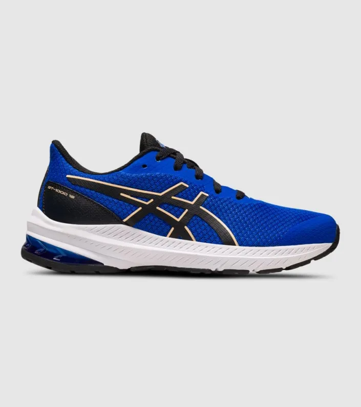 asics gt-1000 12 (gs) kids