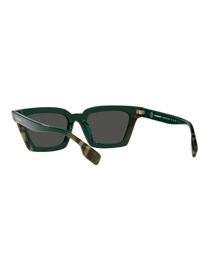 Briar Sunglasses in Green