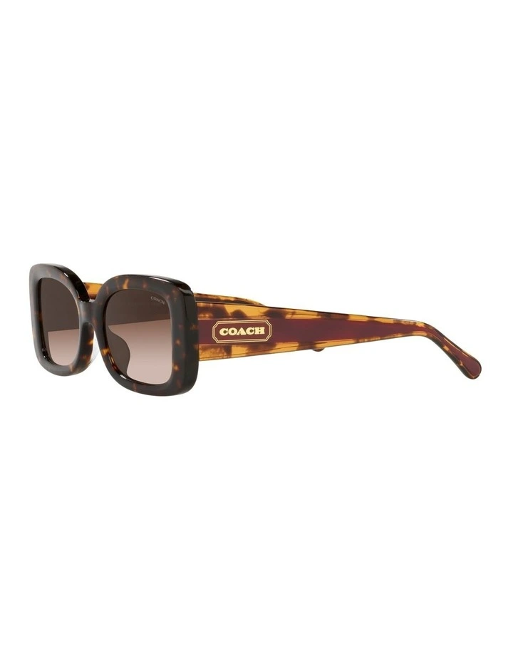 HC8336U C7988 Tortoise Sunglasses